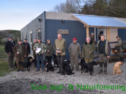 Hundetræning forår 2016